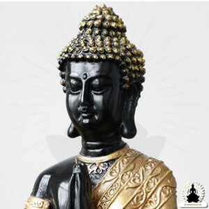 Buddha Figurer Buddha i sort og guld i harpiks (23 cm) Zen meditation dekoration (1)